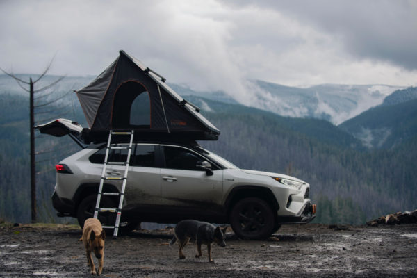 Prinsu Toyota Rav4 Roof Rack 2019-2021