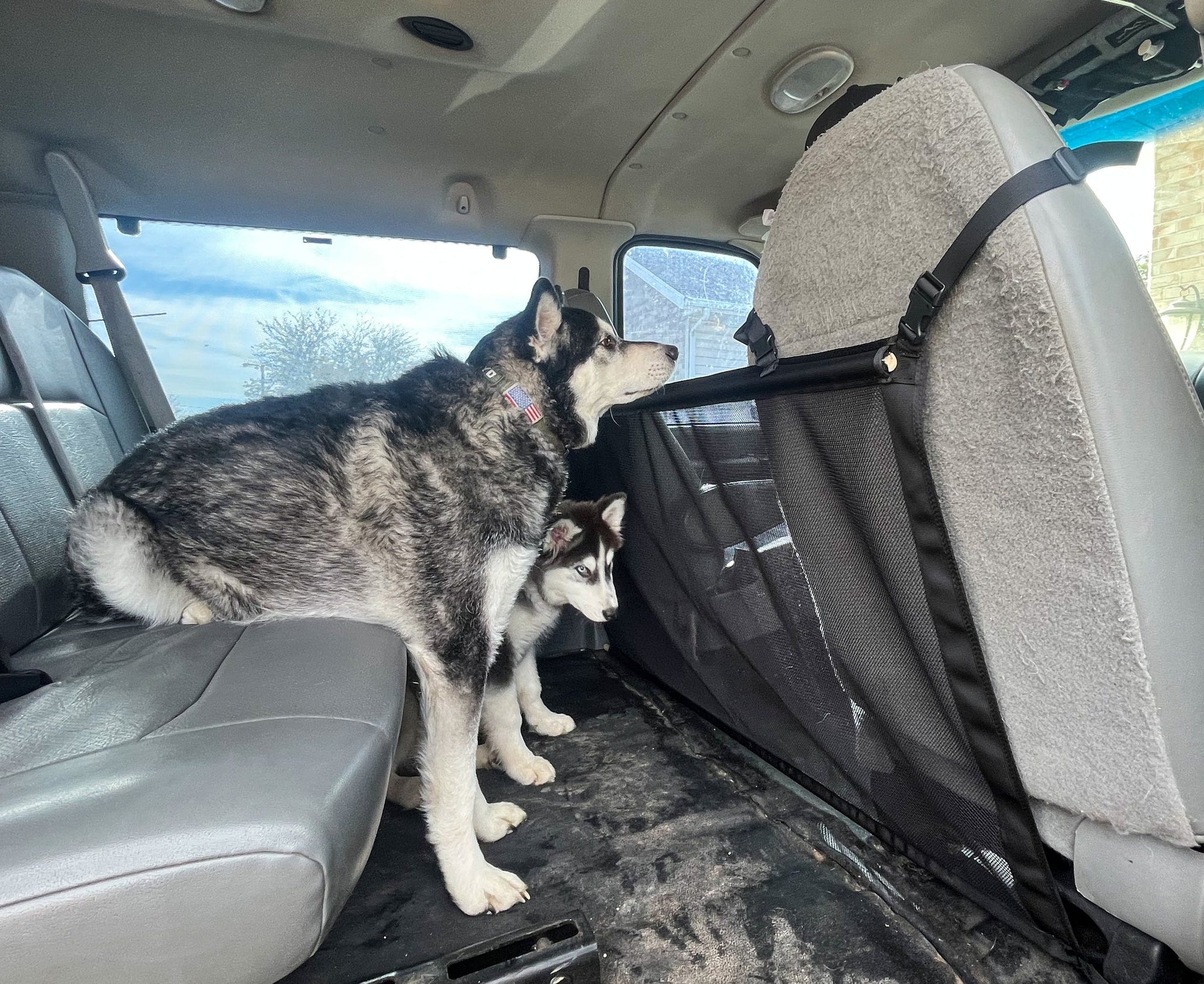 Overland Gear Guy Econoline Van Mesh Dog Barrier